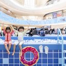 더스타스윔 더팩트