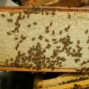 소망2농장 이미지