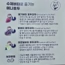에나호두 | 추석 선물로 좋은 "에나 호두" 추천해요!~