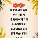 샬롬