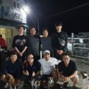 행복한 멍이세상 이미지