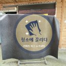 판교세탁 이미지