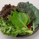 (주)드림유통 | (주)더드림앤드림 식자재: 찐 인생 식당식자재 성지...주문OKX산지 직송! 식자재유통회사 무조건 여기! 💖🚚