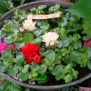 서울화원 이미지