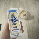 2월 먹짱일기 신상과자와 새로운 간식을 찾아서