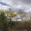 주영농장(4) 이미지