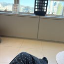 세이스마일 | 스마일 라식 내돈내산 후기