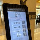 [진도] 진도쏠비치 오션뷰 클린룸 내돈내산 만족후기(셰프스키친 조식, 인피니티풀, 레전드히어로즈...