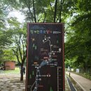 ◇ 2026.07.13(월) 뒤늦게 청계산의 매력에 빠져들다.^^ / 성남 누비길 6구간 단축 변형 코스 _ 이수봉 ! 이미지