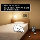 새터 | 라이즈 하남 스타필드 새터 공개팬싸 후기