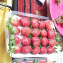 국민농장 이미지