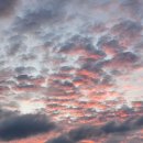 노을빛 풍경 이미지