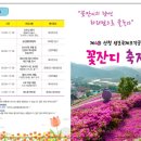 산청 생초국제조각공원 꽃잔디 축제 현장속으로~
