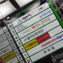 벤자민타이스파