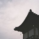 코닥군산 이미지