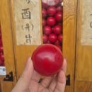 문화카센타 이미지