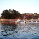 돝섬해상유원지 이미지