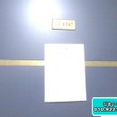 둔산중로-11 이미지