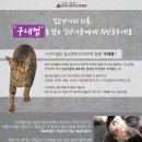 1일 남은 길고양이의 최후,'구내염'을 앓는 길냥이들에게 희망을 주세요 D-1 이미지