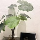 케이제이주유소 네이버블로그