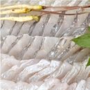 남해활어회 이미지