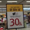 오늘닭