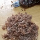 강아지 친구 이미지