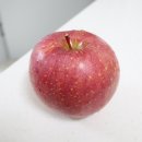 늘햇살농원 이미지