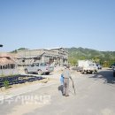 금광1리 이미지