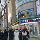 퍼피케크 | chase the star