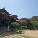 [경기/고양] 서울 근교 맛집 부모님 모시고 가면 좋은 뷰맛집 너른마당 내돈내산 솔직후기