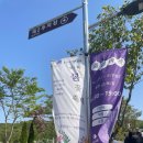 용인 자작나무 숲 데이트, 가족 나들이 추천 장소 방문 후기