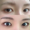 착한뷰티 | 속눈썹펌 유목민 드디어 정착! 속도 친절 1등 아라동 '오웬뷰티' 방문 후기