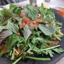 텃밭에노는닭 | 삼척 도계읍 물닭갈비 맛집 텃밭에 노는 닭 포장후기, 추천 사리