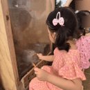 포시즌농장 | 추석 아이와 가볼만한 곳 사계절농장 포시즌힐링팜 입장료 가격 예약방법 내돈내산후기