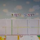 용인대호랑이태권도장 이미지