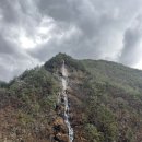 백석폭포민박 | [정선]드위트리 풀빌라 펜션 후기