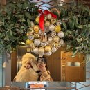 갸또마루 이미지