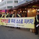 고려인삼 티스토리