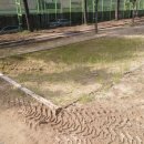 봉화초등학교 병설유치원 | 경북 경산시 00초등학교 및 병설유치원 모래놀이터 모래소독 작업후기