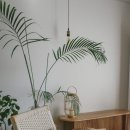 어오내감성숙소커플가족독채펜션 이미지