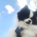 낙동강변26 이미지