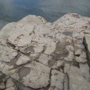 대곡리 암각화 이미지