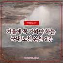 덕산오아시스 | 겨울에 꼭 가봐야 하는 국내 노천 온천 9곳 총정리, 전기장판 탈출 힐링 온천 여행지