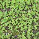 윤미농장 이미지