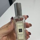 잉글리쉬킹덤 | 조말론 잉글리쉬 페어 앤 프리지아 고퀄느낌 인텐스 킹덤 프리지아 실사용후기