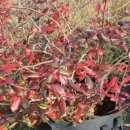 시냇물 농장 이미지