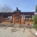 고가칼국수