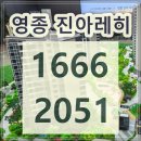 영종진아레히 아파트 모델하우스 영종도 특별분양 1666-2051 이미지