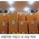 리콤(주) | 사과 월별 재배관리